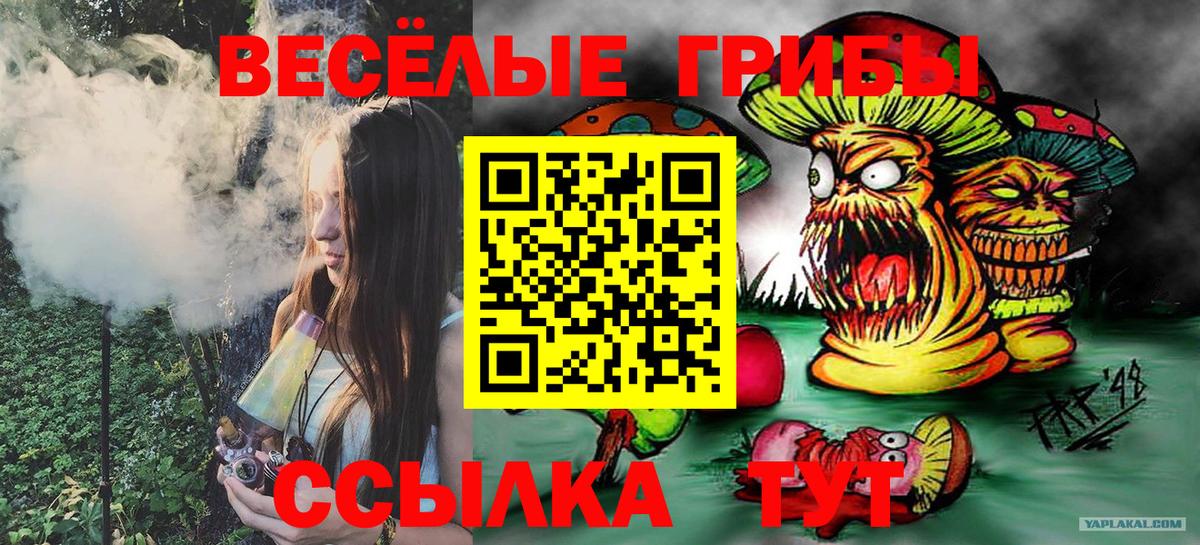 Галлюциногенные грибы прущие грибы  Вход с VPN  Звенигород 