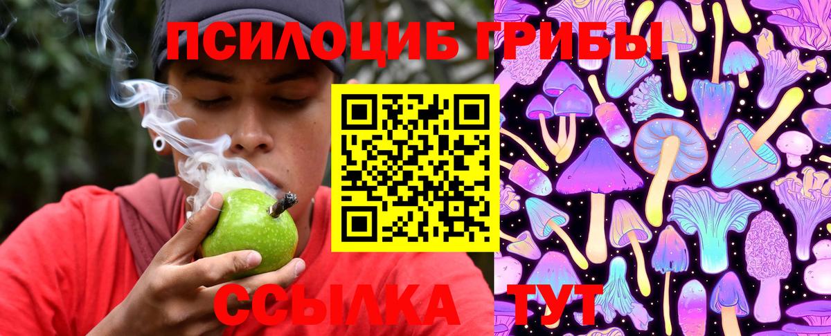Галлюциногенные грибы Cubensis Звенигород
